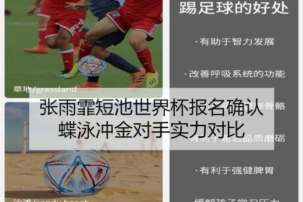 张雨霏短池世界杯报名确认 蝶泳冲金对手实力对比